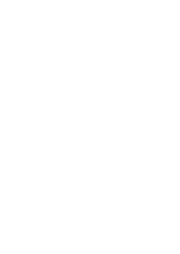 Catena Consultoria Ltda